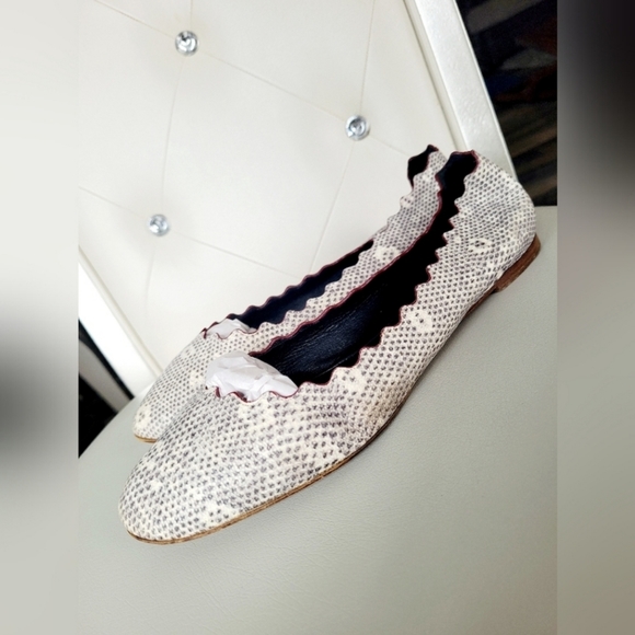 Chloe 100%Auth WomenScalloped Snakeskin Ballet Flats Genuine Leather Gray US 8.5 - Picture 8 of 16